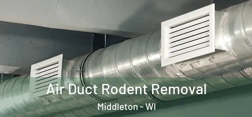  Air Duct Rodent Removal Middleton - WI