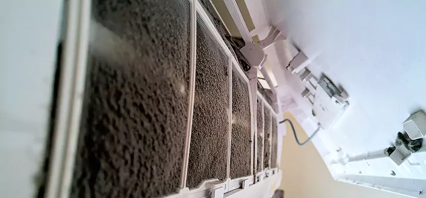 Preventive Air Duct Bacteria Removal in Middleton