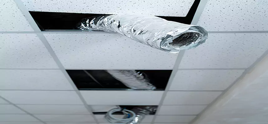 Our Air Duct Pet Hair Removal Services in Middleton, WI