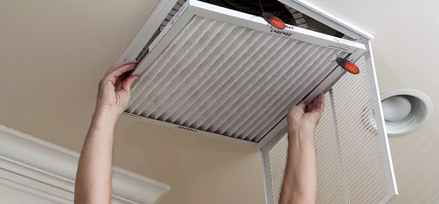 Our Insect Removal from Air Ducts Services in Middleton, WI