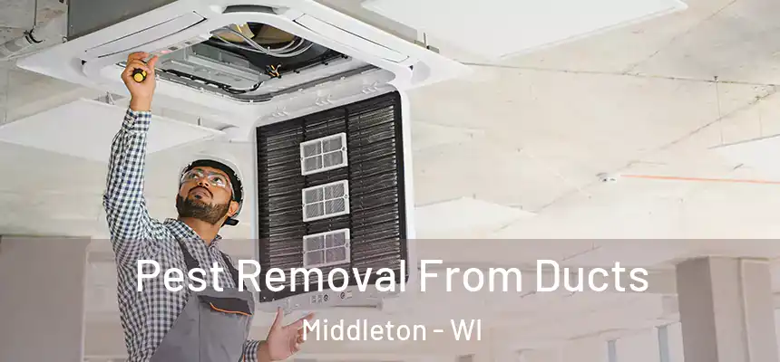  Pest Removal From Ducts Middleton - WI