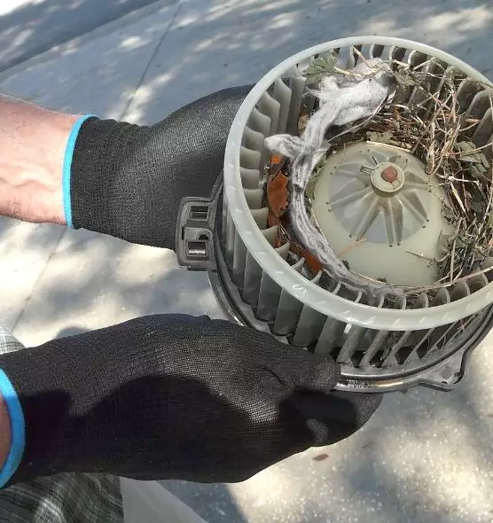 About Air Duct Rat Removal in Middleton, WI